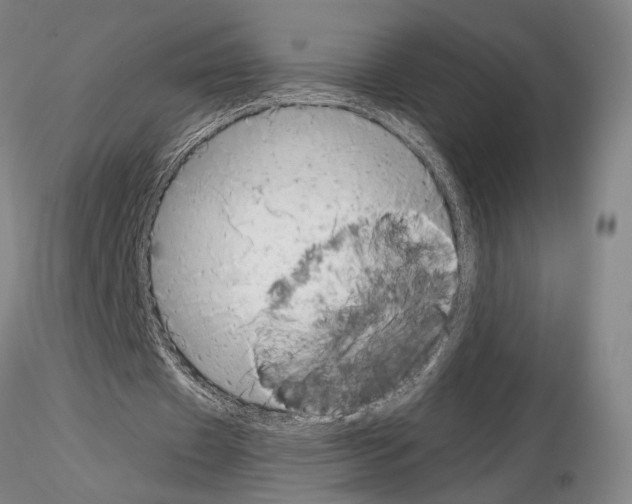 X0000115000433200912071143