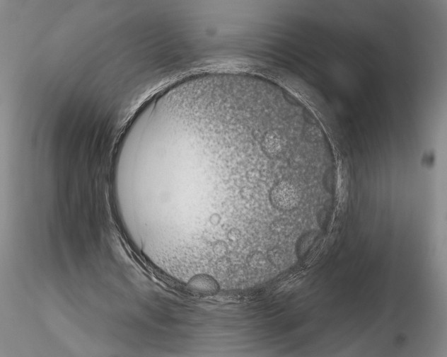 X0000115000434200912071143