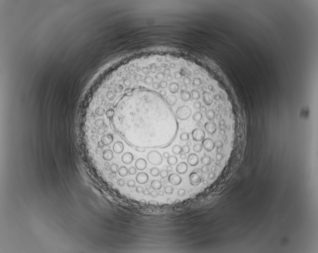 X0000115000435200912071143