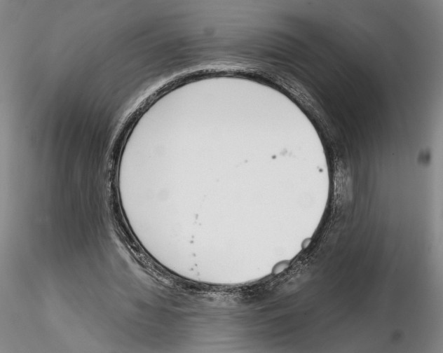 X0000115000436200912071143