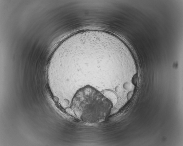 X0000115000437200912071143