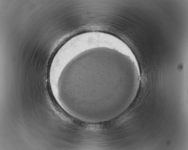 X0000115000438200912071143