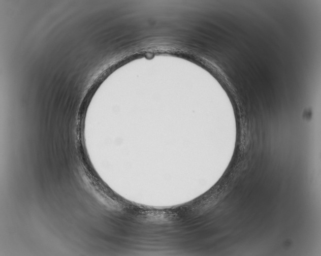 X0000115000439200912071143