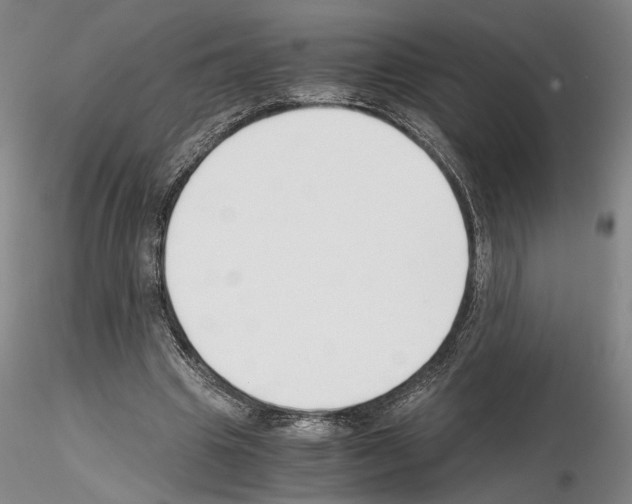 X0000115000441200912071143