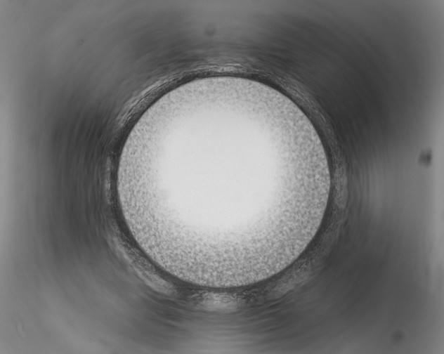 X0000115000442200912071143