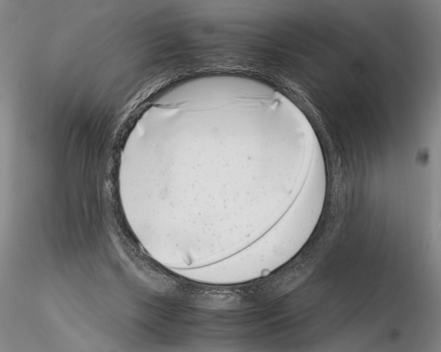 X0000115000443200912071143