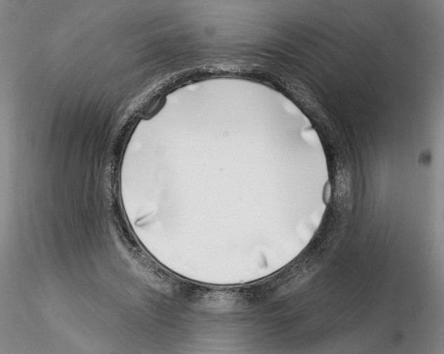 X0000115000444200912071143