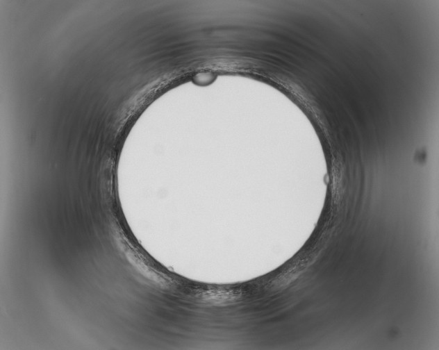 X0000115000445200912071143