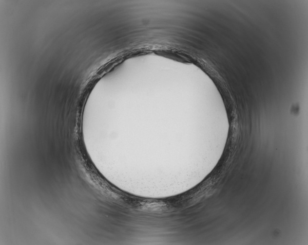 X0000115000446200912071143