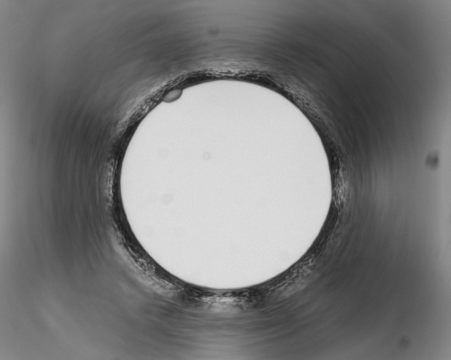 X0000115000448200912071143