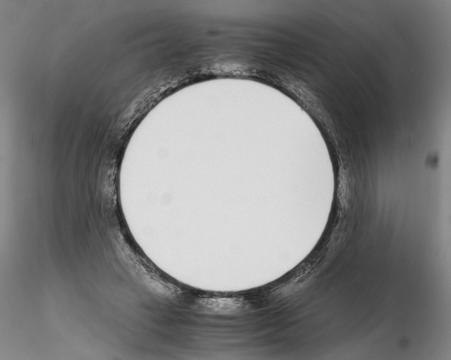 X0000115000449200912071143