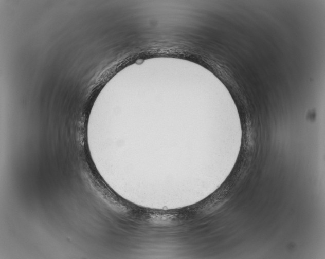 X0000115000450200912071143