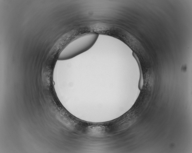 X0000115000452200912071143