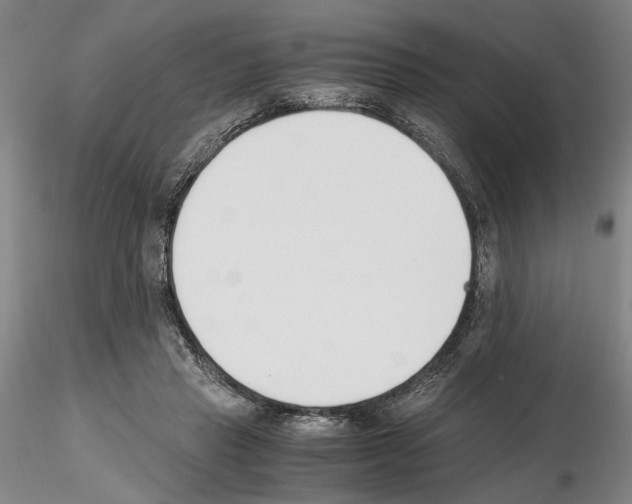 X0000115000453200912071144