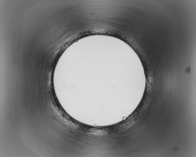 X0000115000454200912071144