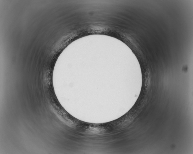 X0000115000455200912071144