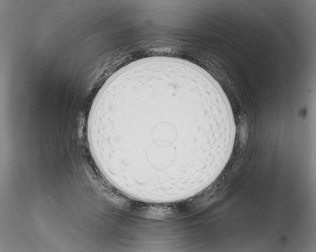 X0000115000458200912071144