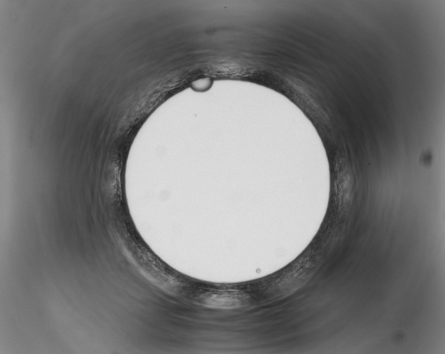 X0000115000459200912071144