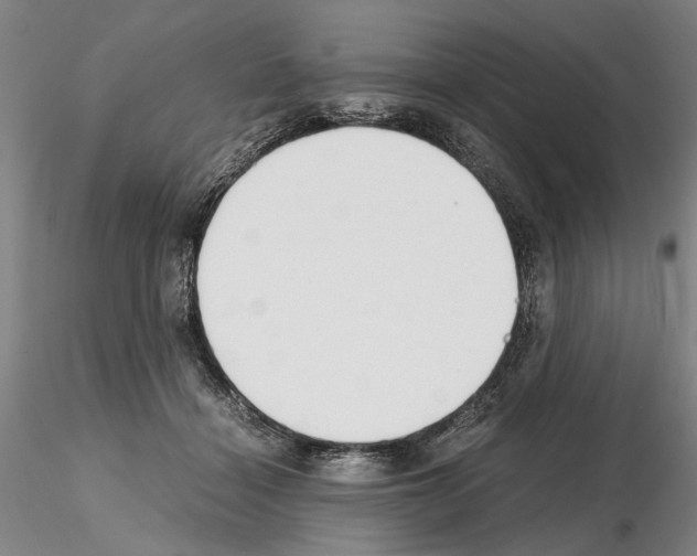 X0000115000460200912071144