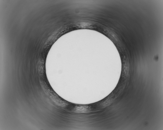 X0000115000461200912071144