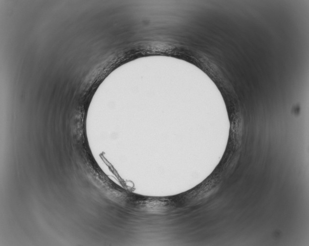 X0000115000462200912071144