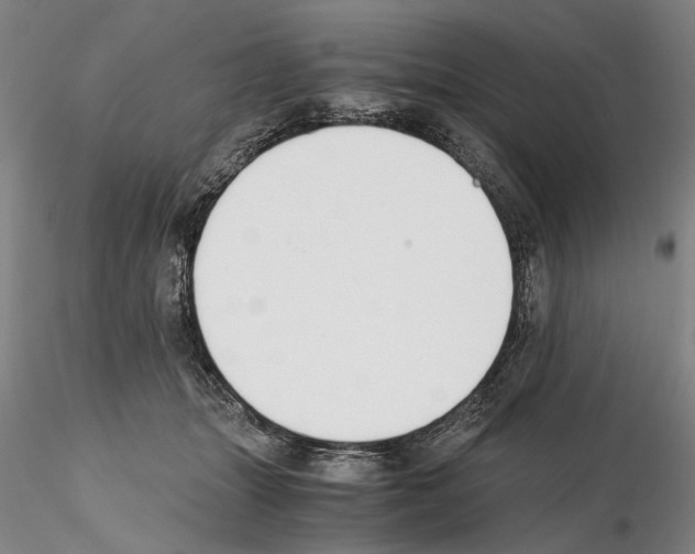 X0000115000463200912071144