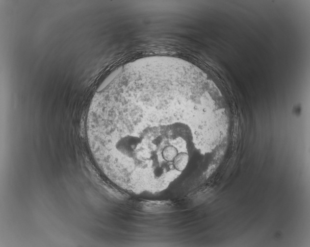 X0000115000465200912071144