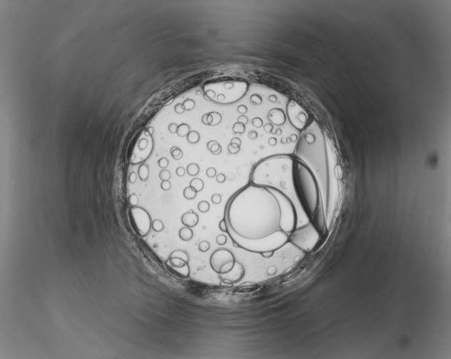 X0000115000466200912071144