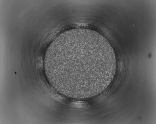 X0000115000467200912071144