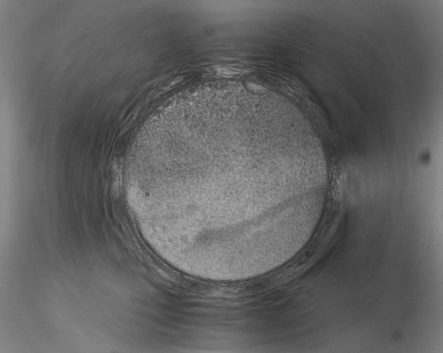 X0000115000471200912071144