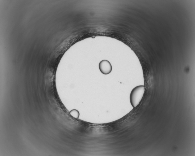 X0000115000472200912071144