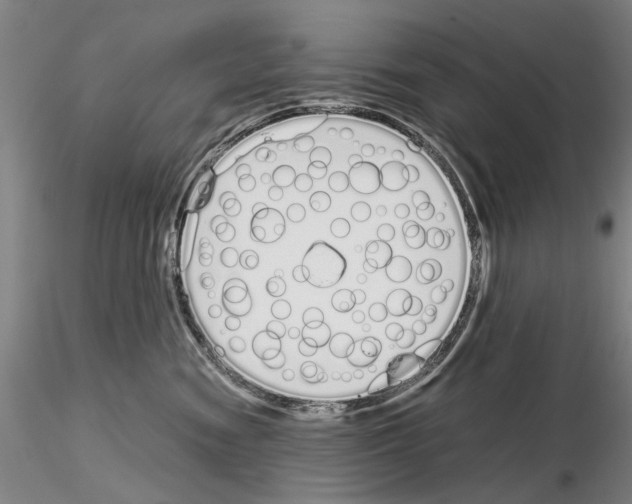 X0000115000474200912071144