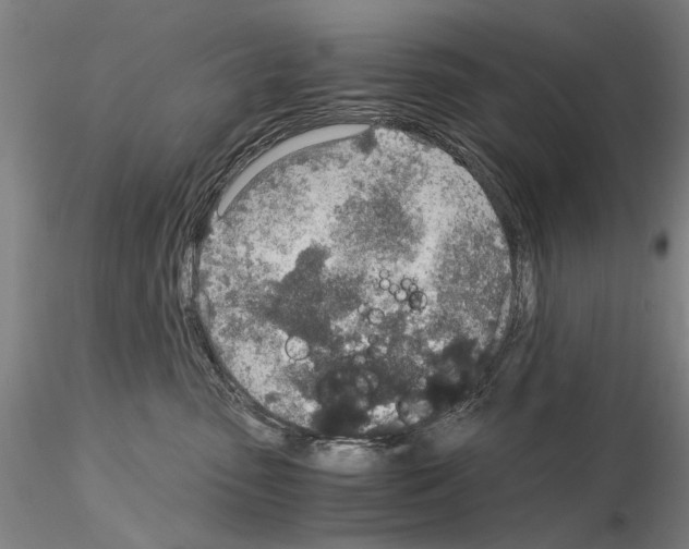 X0000115000475200912071144