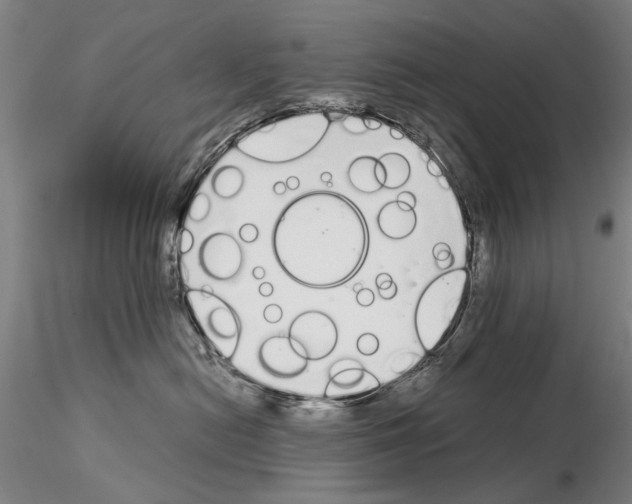 X0000115000478200912071144