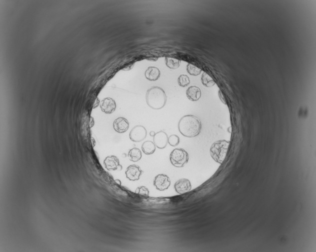 X0000115000480200912071144