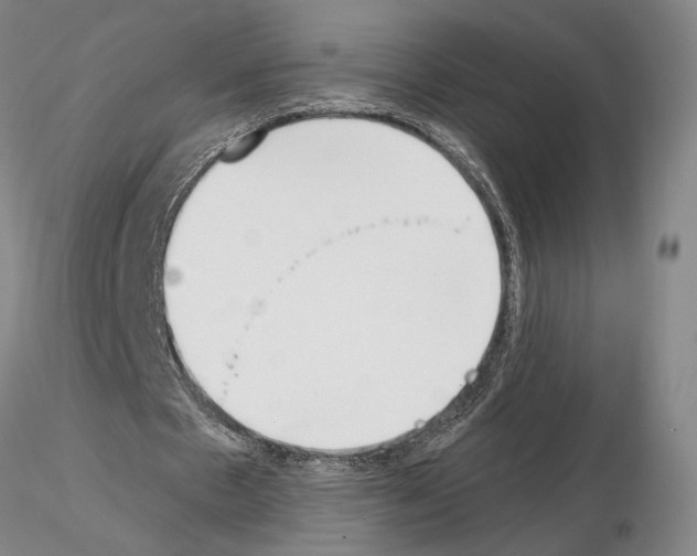 X0000115000481200912071143