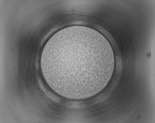 X0000115000482200912071143