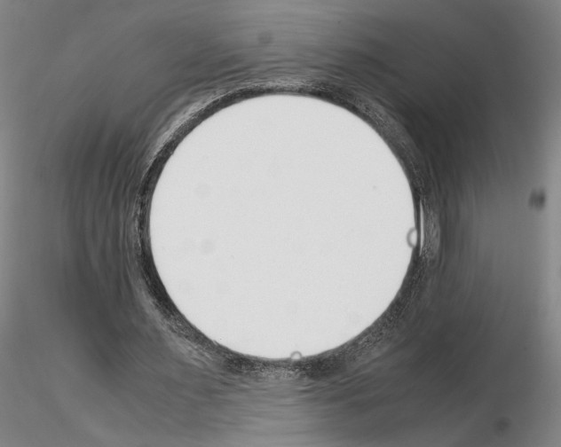 X0000115000483200912071143