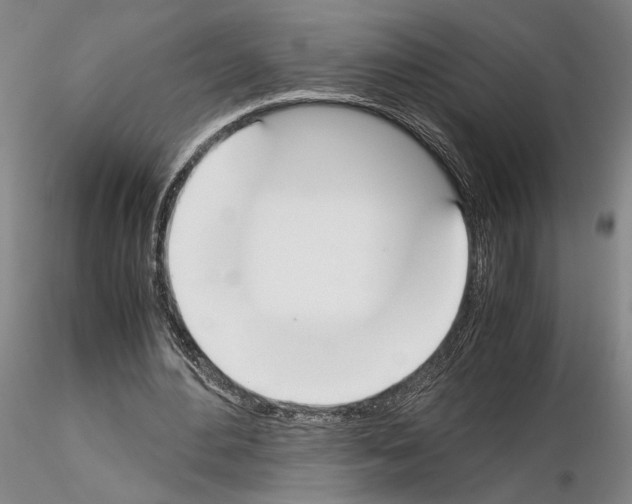 X0000115000484200912071143