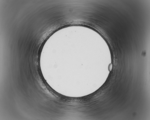 X0000115000485200912071143