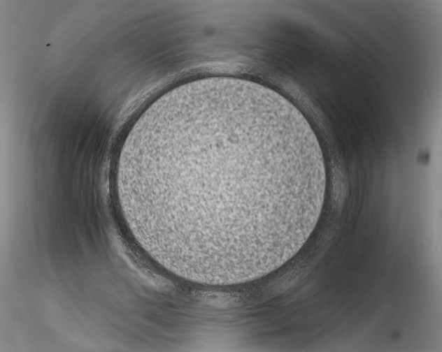 X0000115000486200912071143