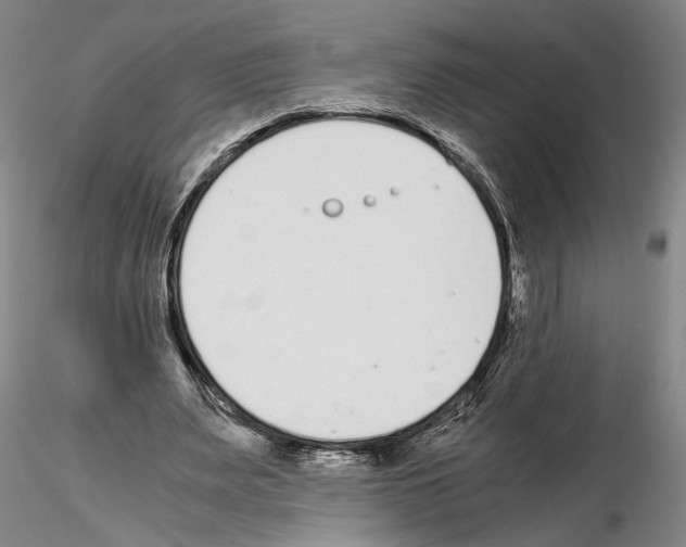 X0000115000487200912071143