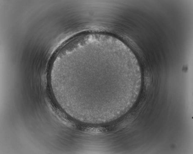 X0000115000488200912071143