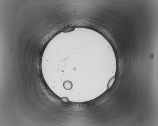 X0000115000489200912071143