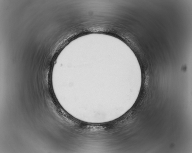 X0000115000491200912071143