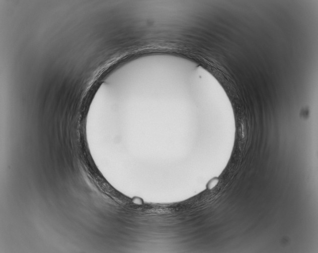 X0000115000492200912071143