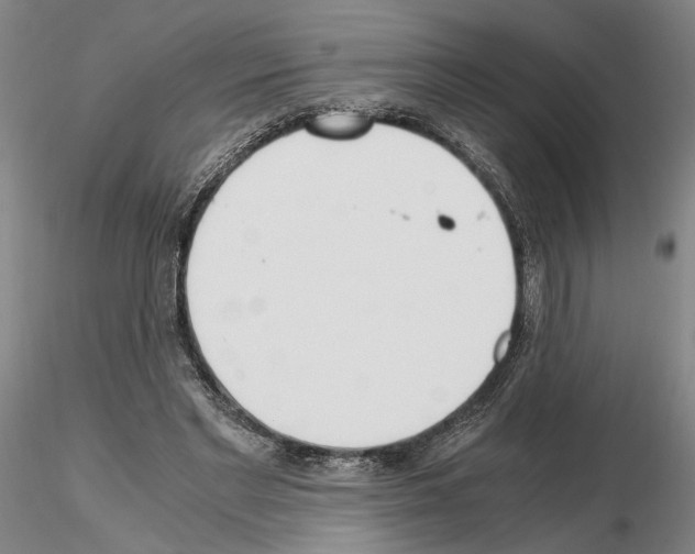 X0000115000493200912071143