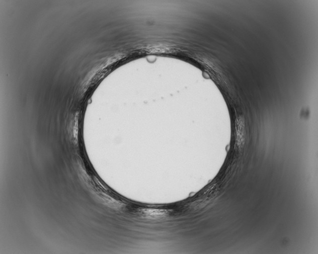 X0000115000495200912071143