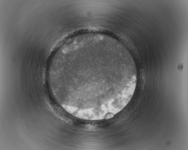 X0000115000496200912071143