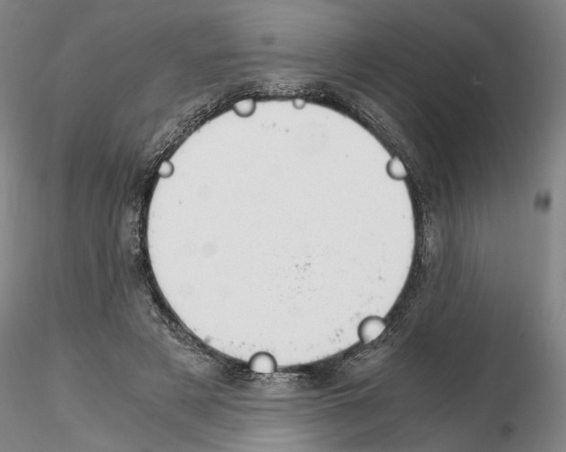 X0000115000497200912071143